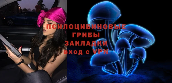 стафф Арсеньев