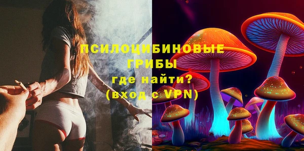 MDMA Premium VHQ Аркадак