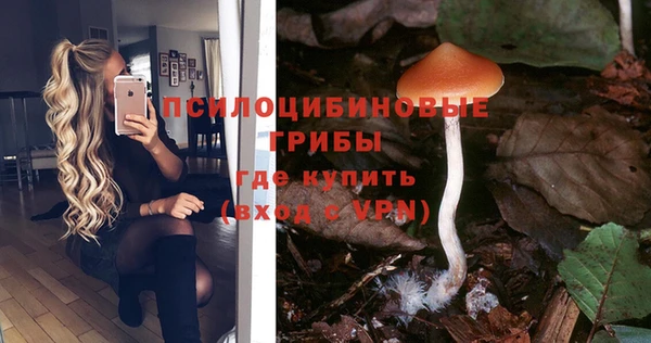 стафф Арсеньев